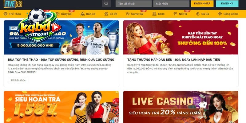 Tổng hợp những ưu đãi nổi bật dành cho hội viên