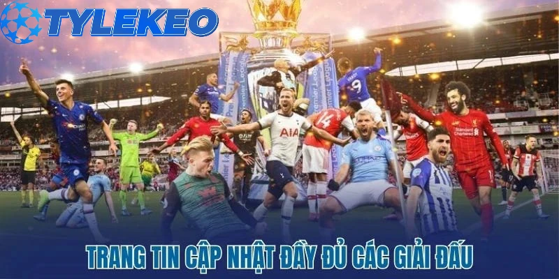Thông tin giải đấu được làm mới liên tục