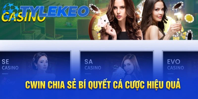 Khi tiền của bạn làm việc một cách có chiến lược