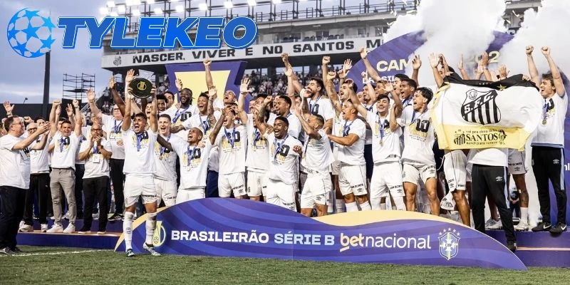 Cách thức tổ chức thi đấu của VĐQG Brazil
